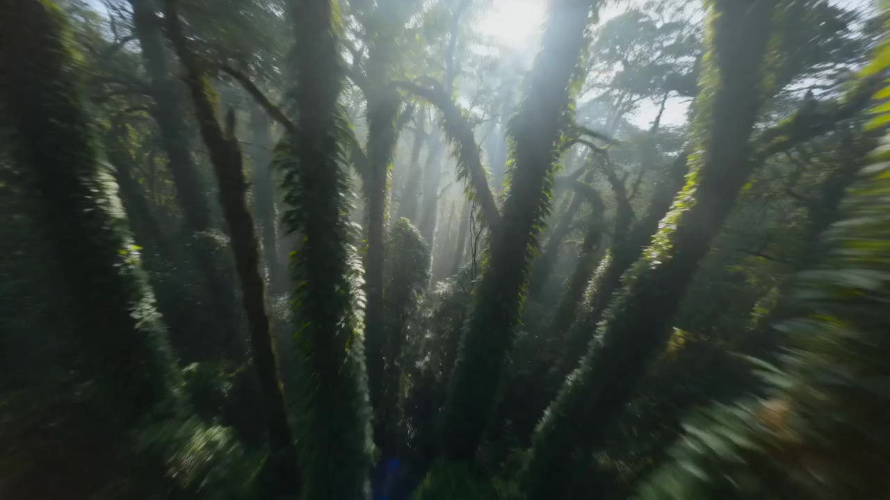 电影推进